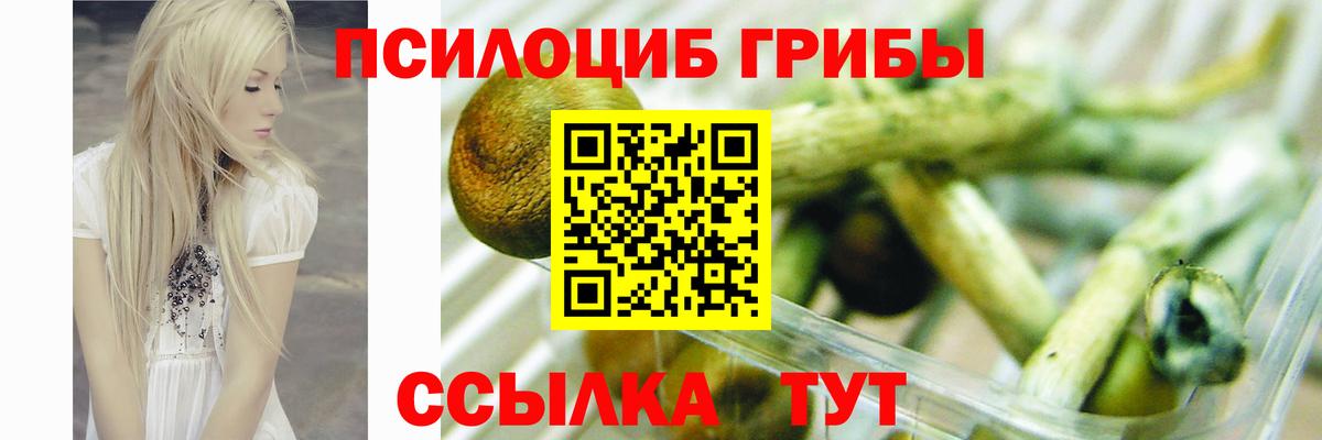Чернушка  Галлюциногенные грибы мухоморы  Вход с VPN 